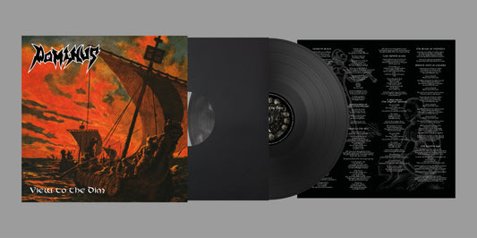 VIEW TO THE DIM Vinyl